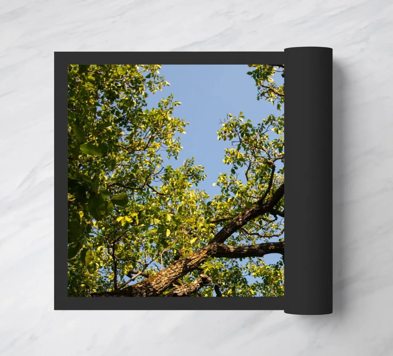 tree zerbino da lookingforstardust