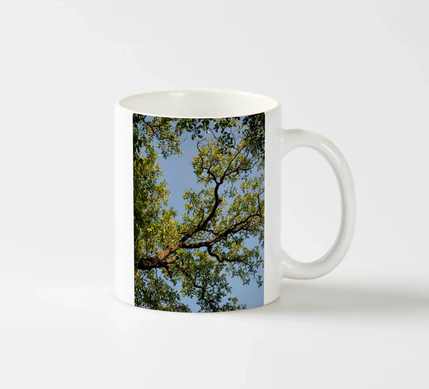 tree ceramic mug by lookingforstardust