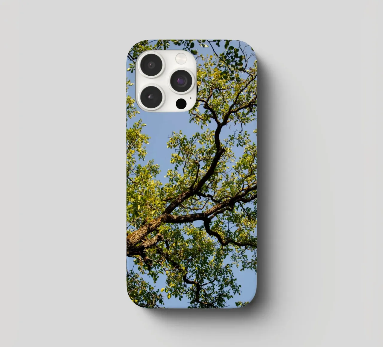 tree cover iphone da lookingforstardust