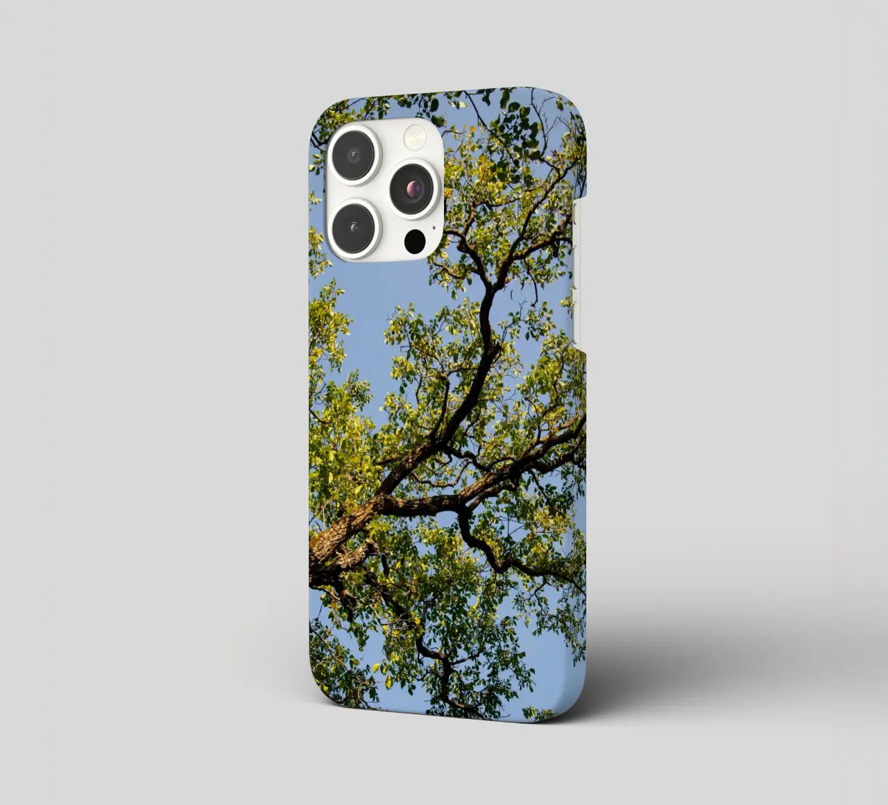 tree cover iphone da lookingforstardust