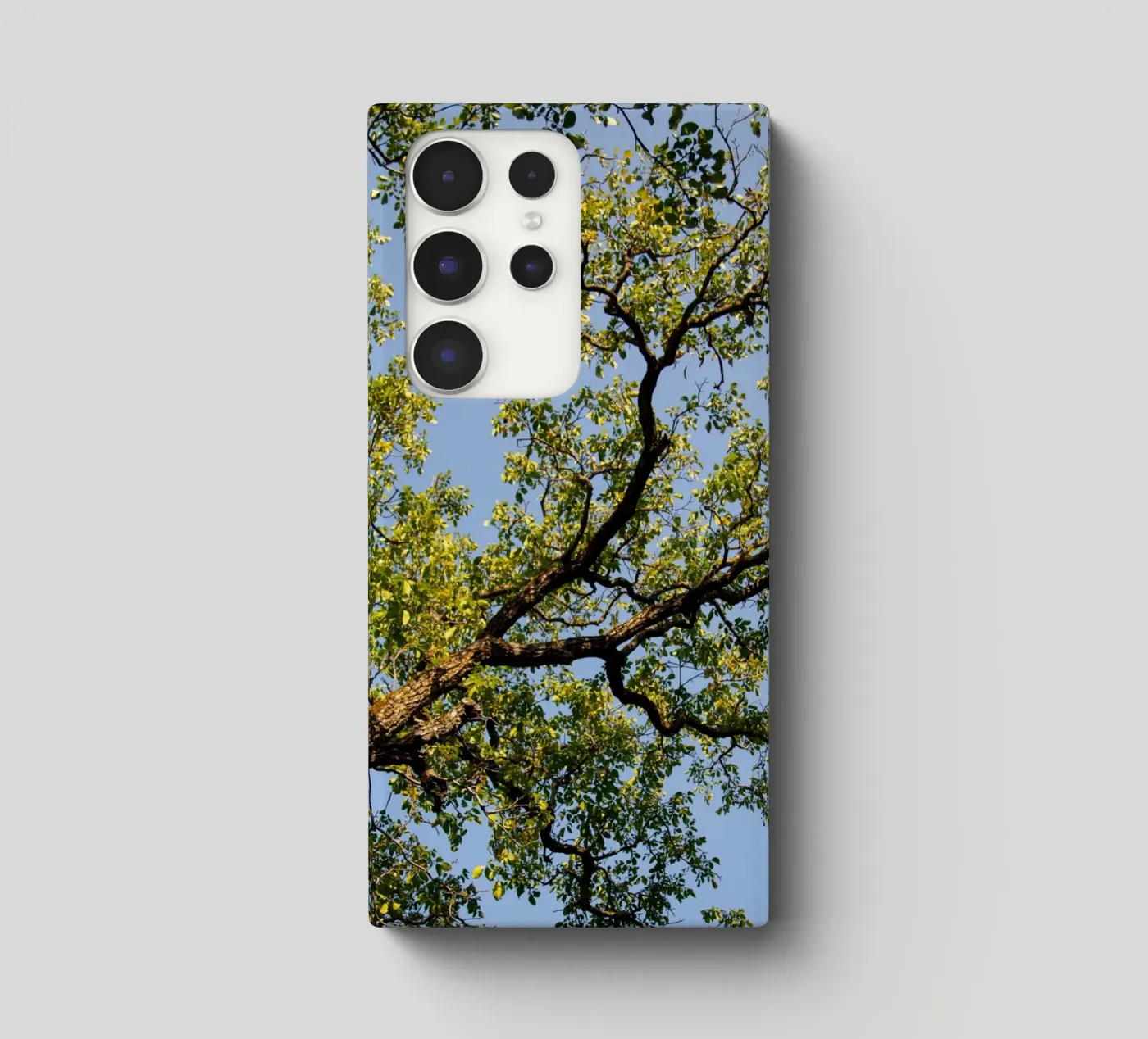 tree cover samsung da lookingforstardust