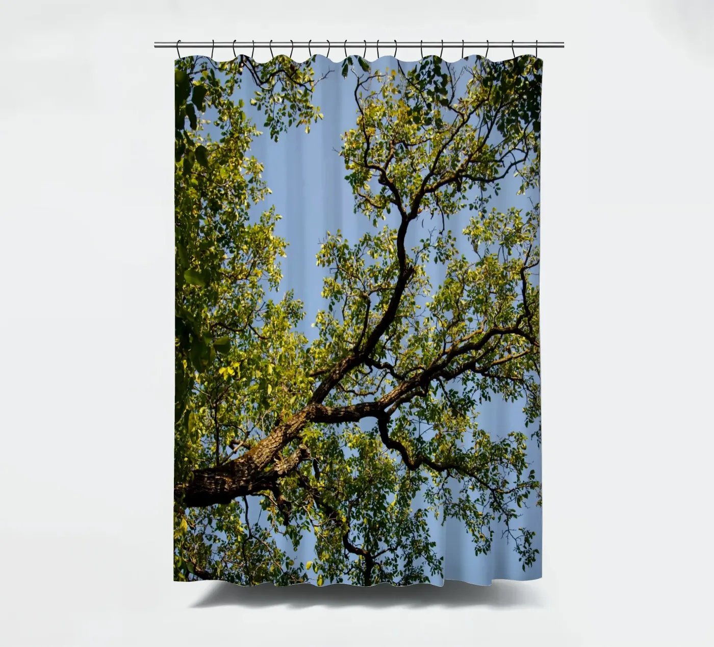 tree Duschvorhang von lookingforstardust