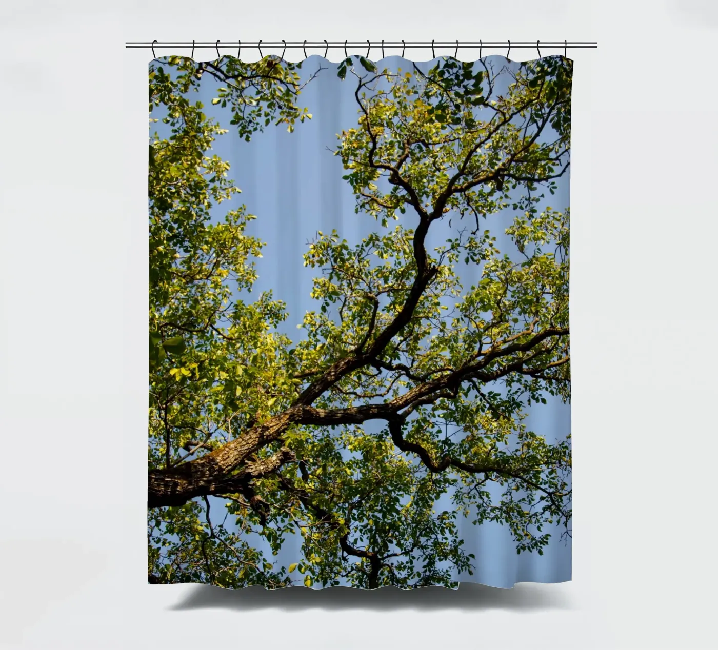 tree Duschvorhang von lookingforstardust