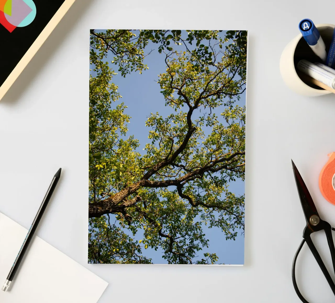 tree notebook by lookingforstardust