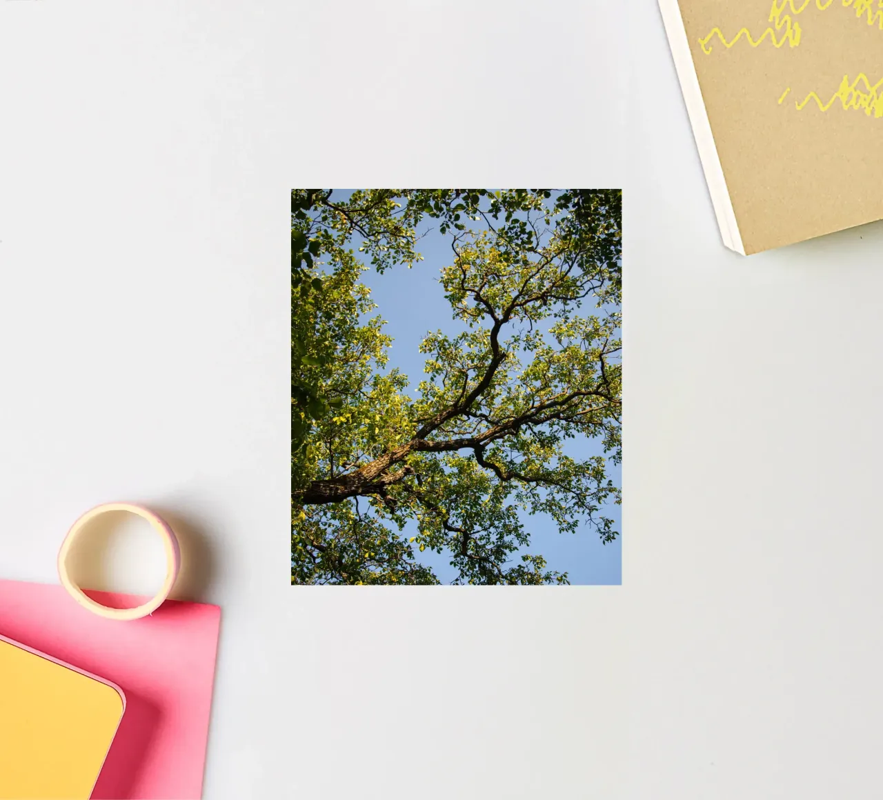 tree sticker by lookingforstardust