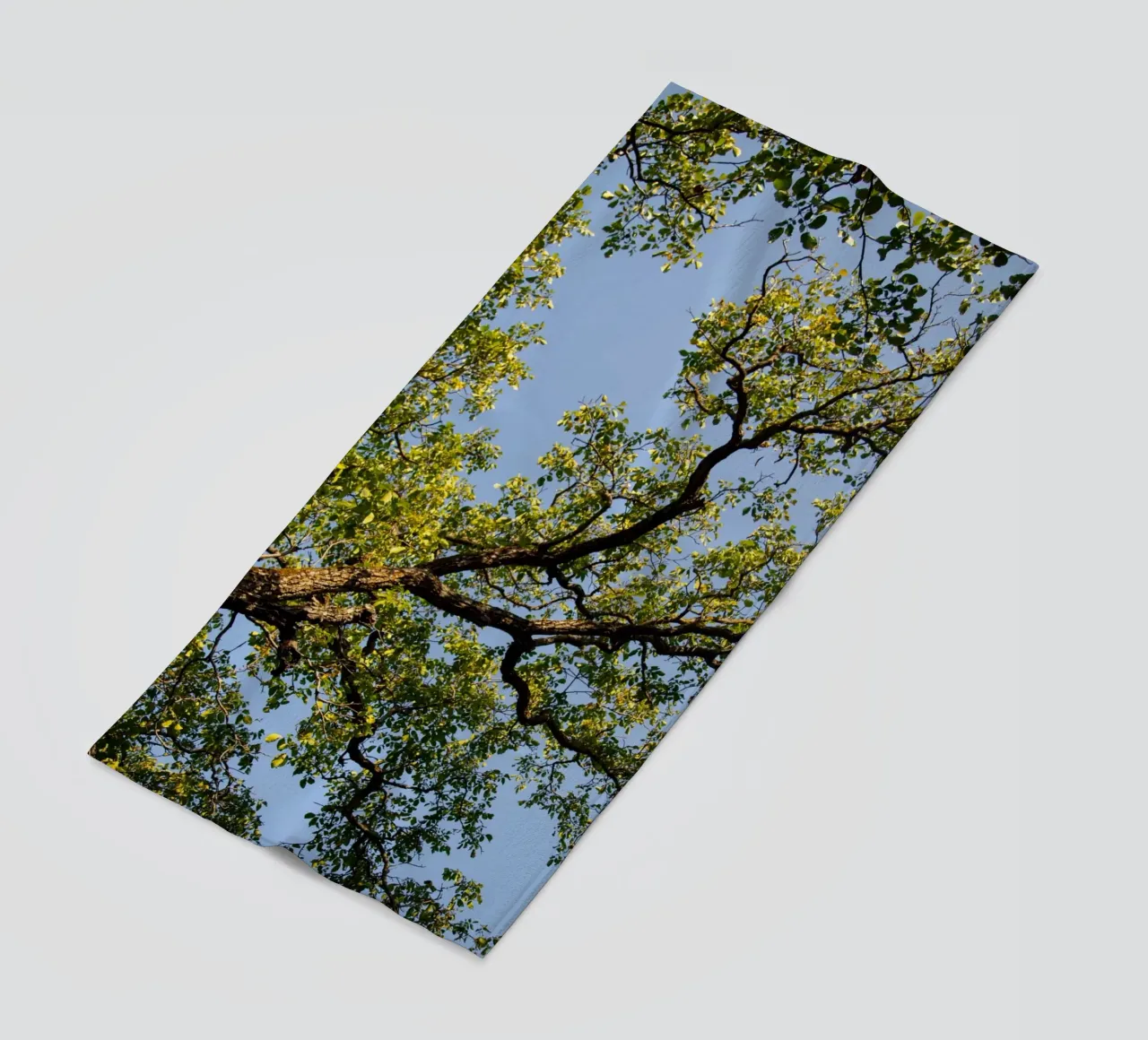 tree telo mare da lookingforstardust