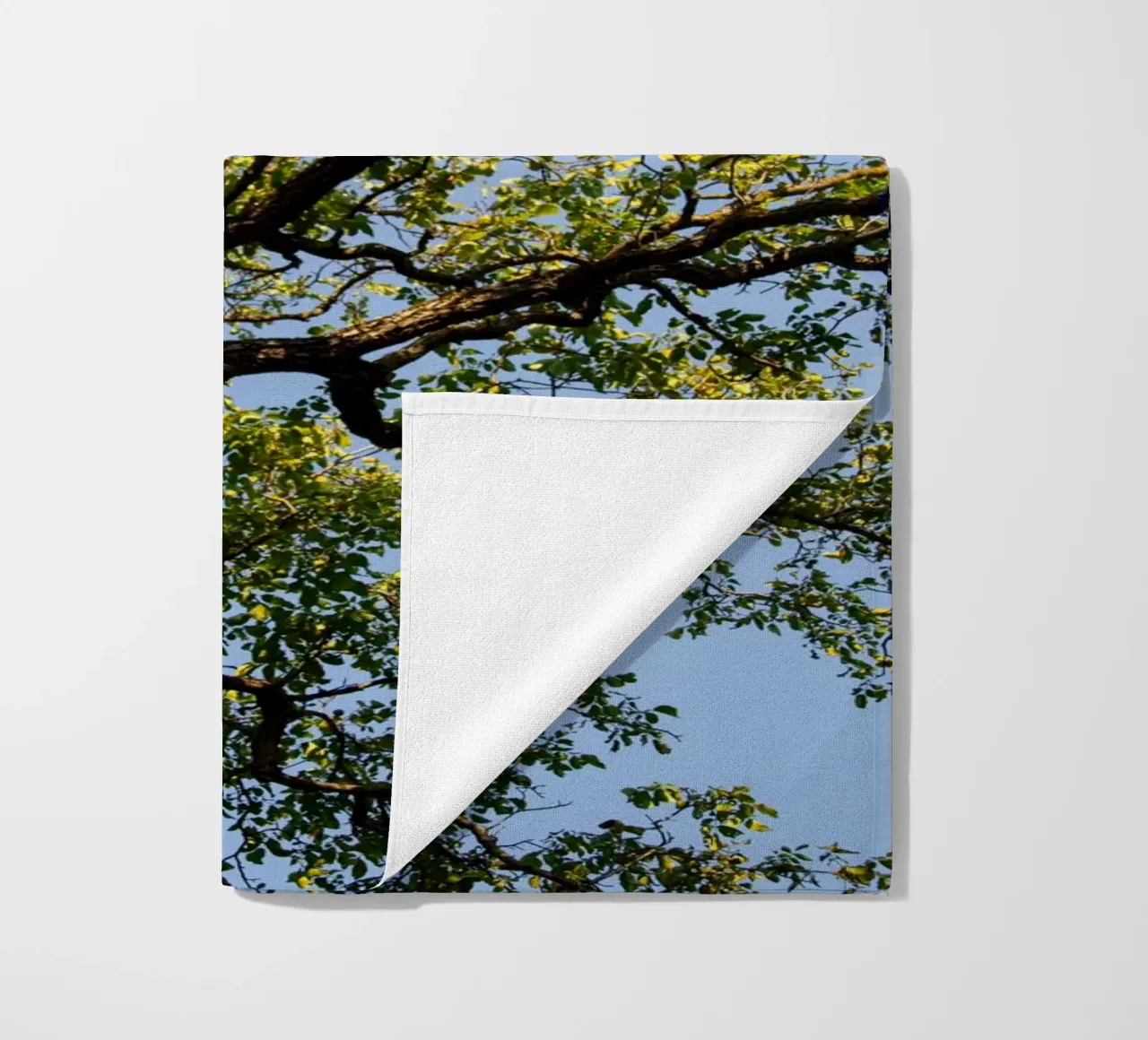 tree telo mare da lookingforstardust