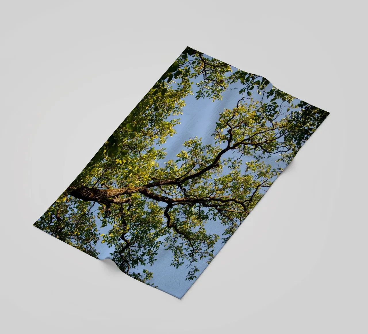 tree telo mare da lookingforstardust