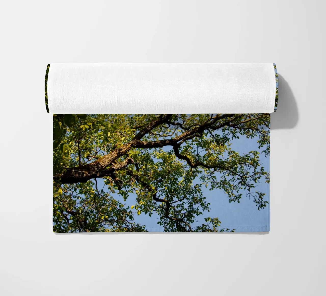 tree telo mare da lookingforstardust