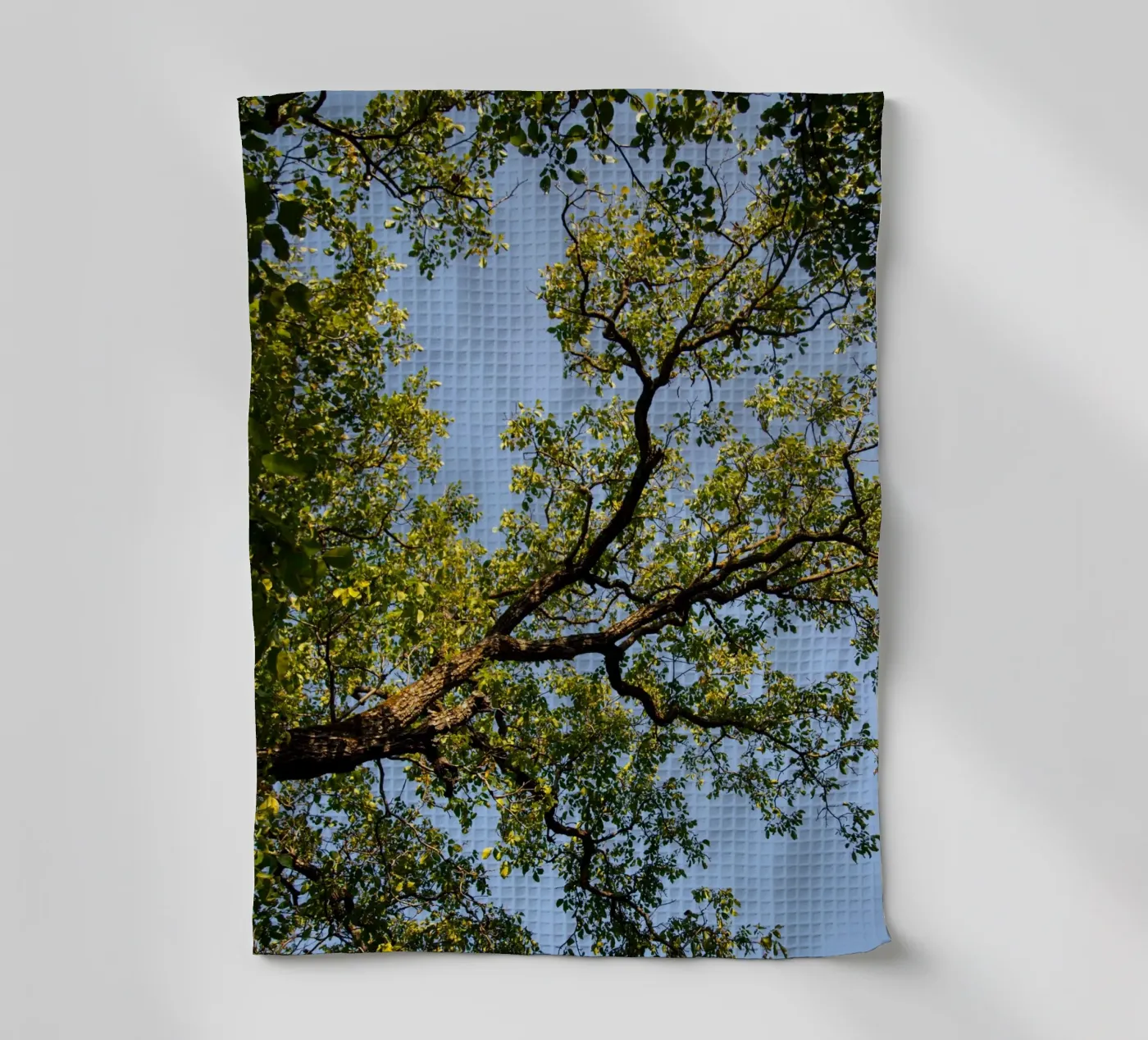 tree Geschirrtuch von lookingforstardust