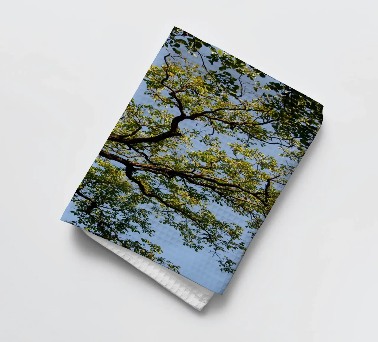 tree torchon de lookingforstardust