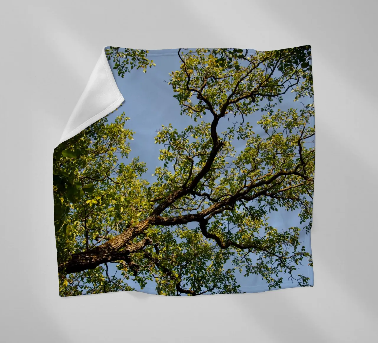 tree coperta in pile da lookingforstardust