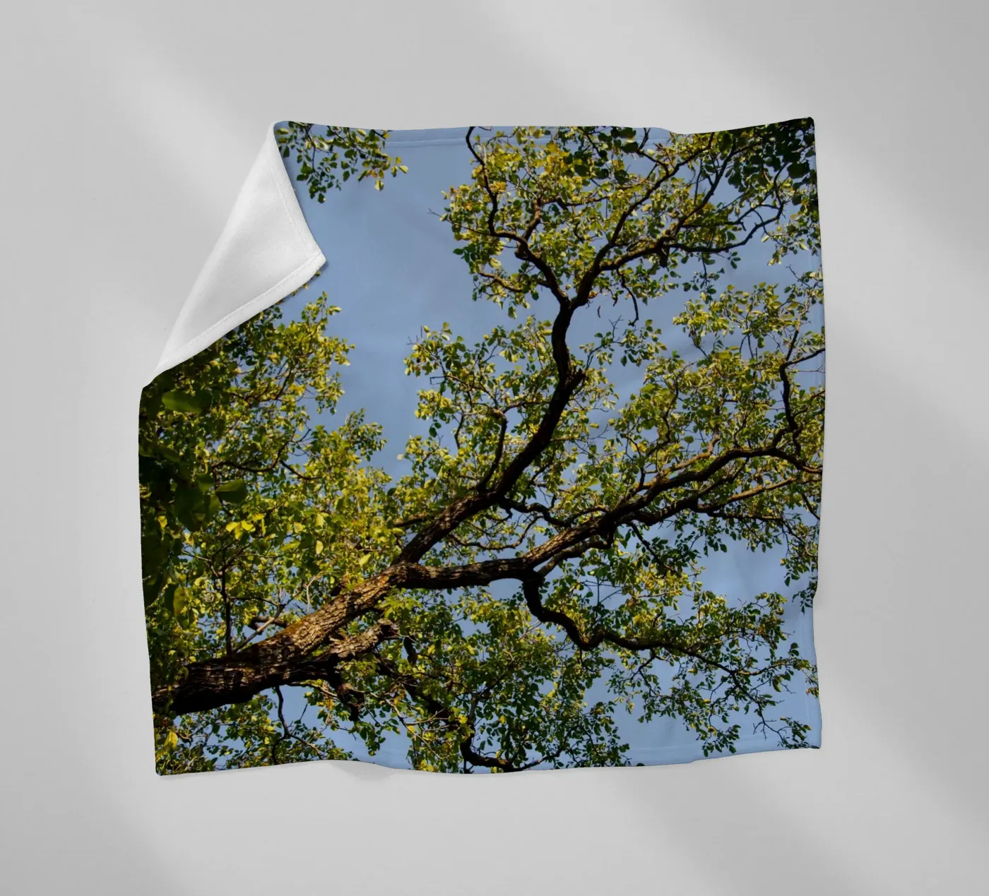 tree fleece blanket by lookingforstardust