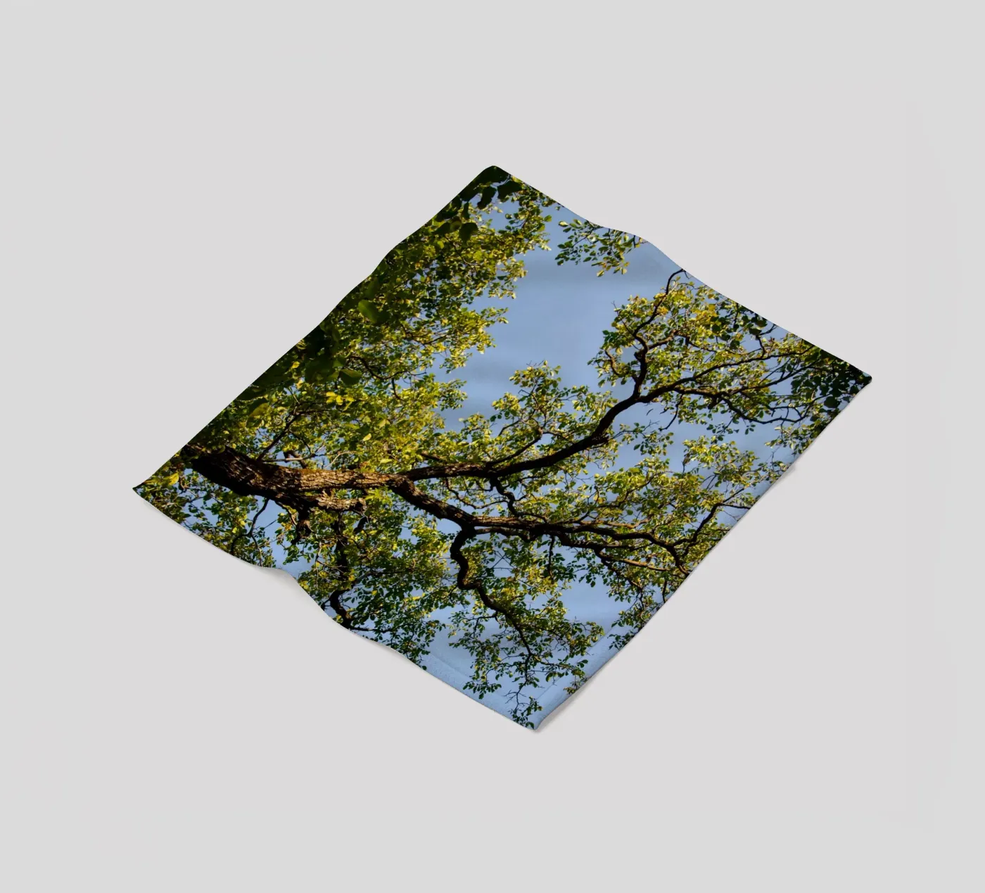 tree fleece blanket by lookingforstardust