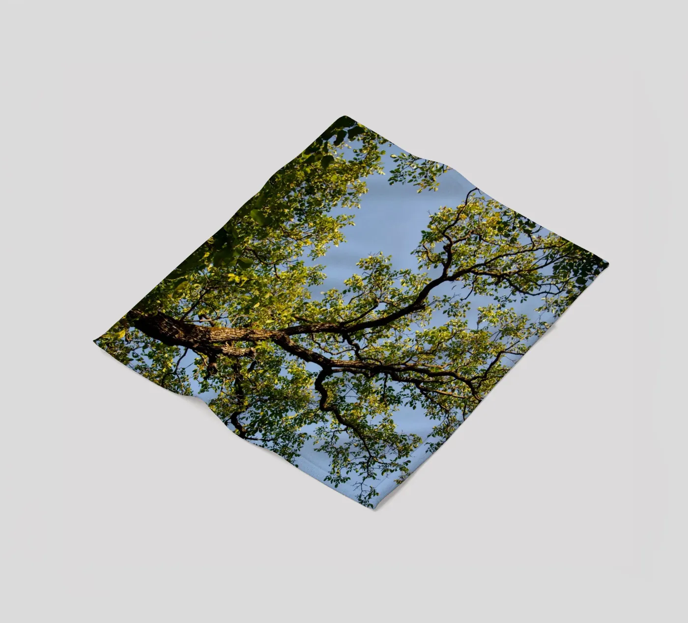 tree fleece blanket by lookingforstardust