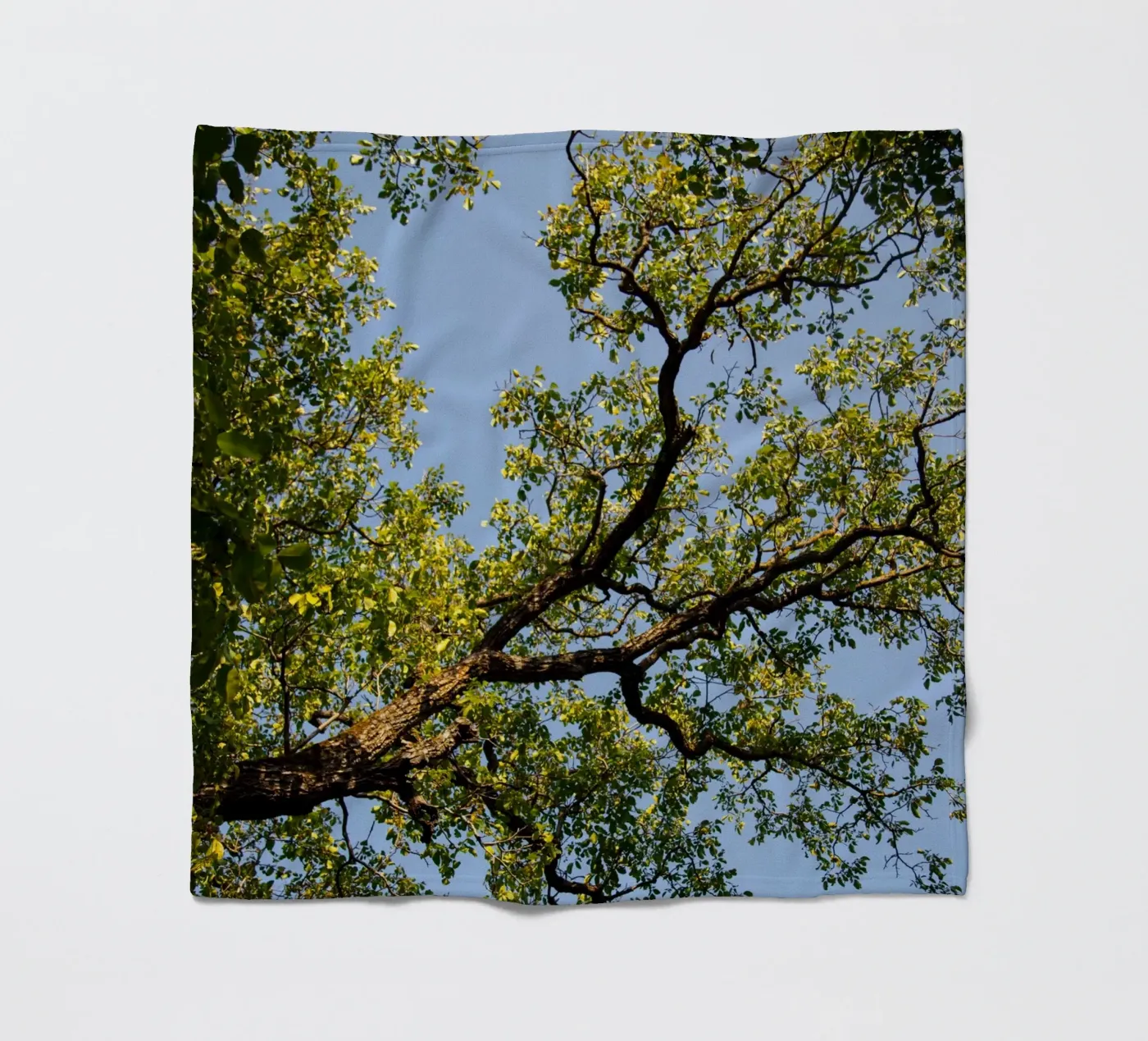 tree fleece blanket by lookingforstardust