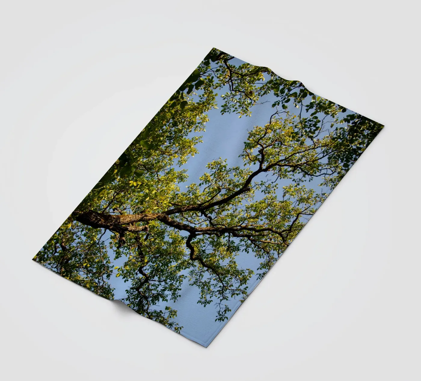 tree fleece blanket by lookingforstardust