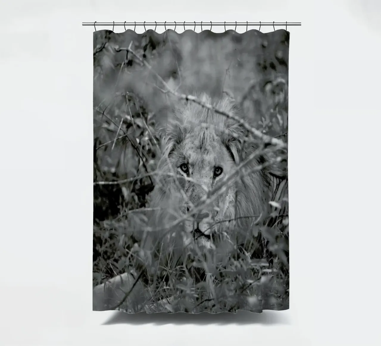 Safari 01 shower curtain by Shot By Clint