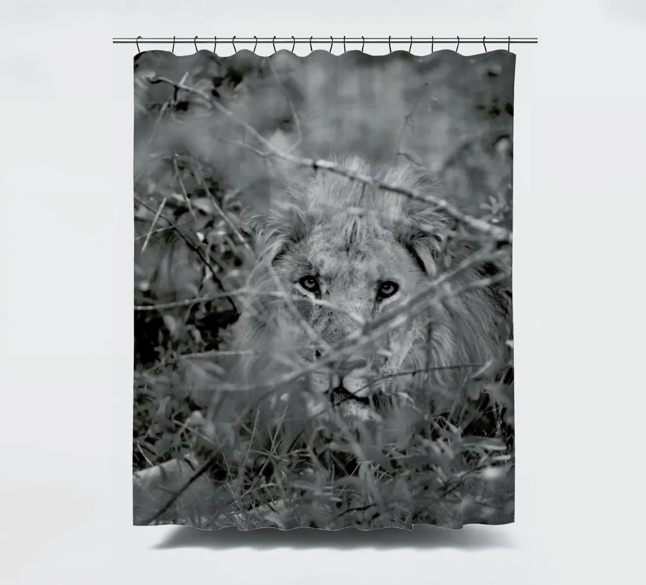 Safari 01 shower curtain by Shot By Clint