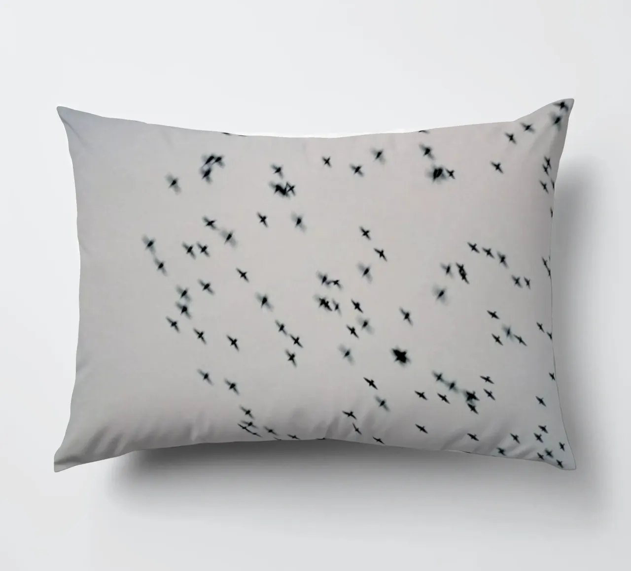 Wild and Free cuscino da Alexandra Hellweg