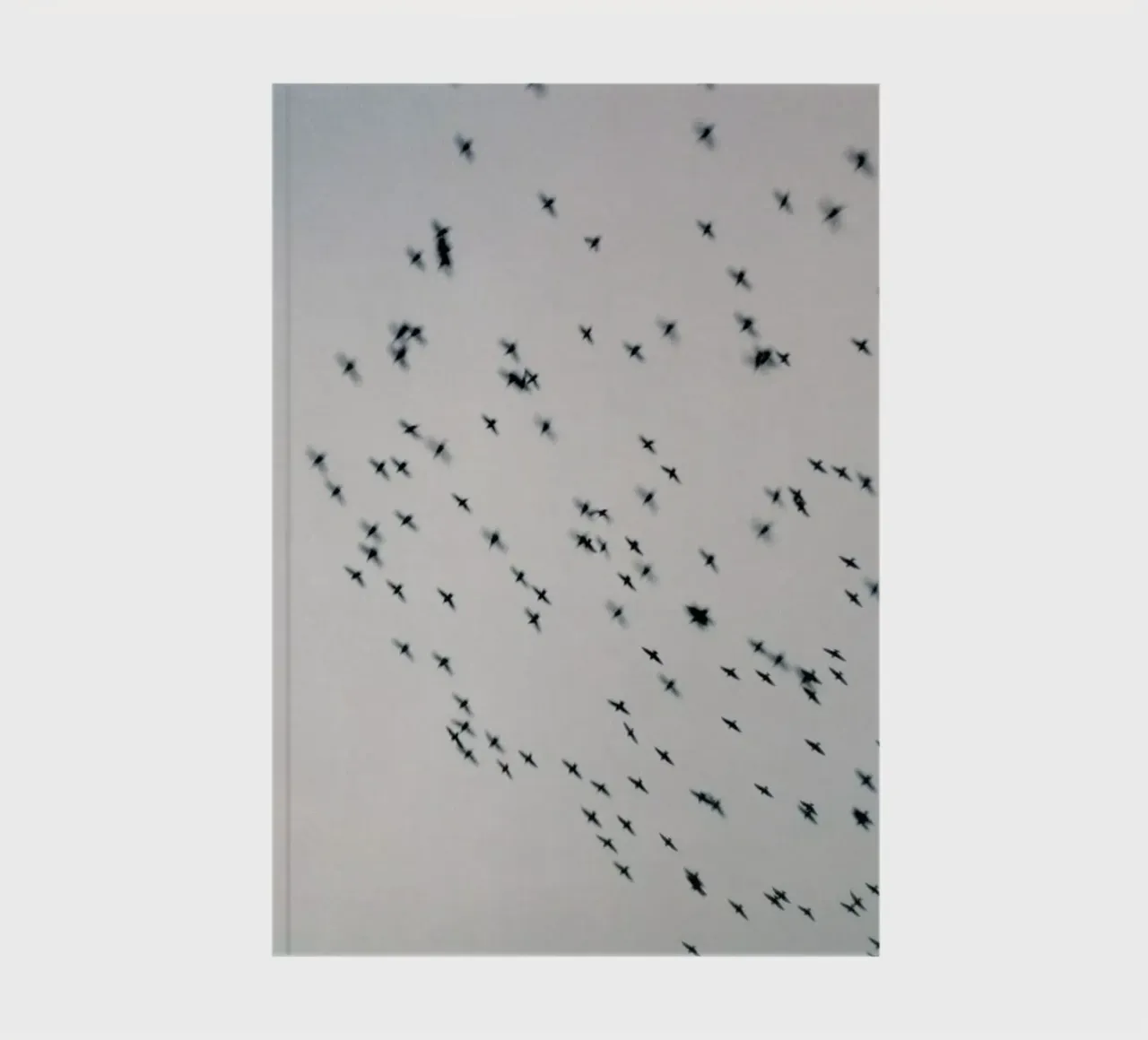 Wild and Free notebook by Alexandra Hellweg