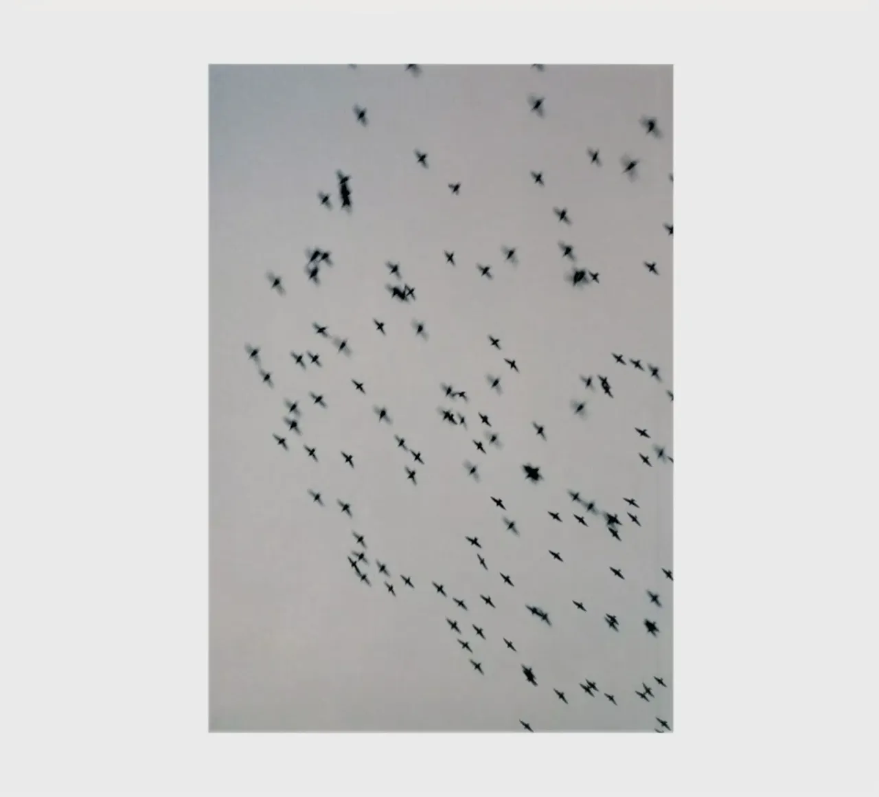 Wild and Free notebook by Alexandra Hellweg