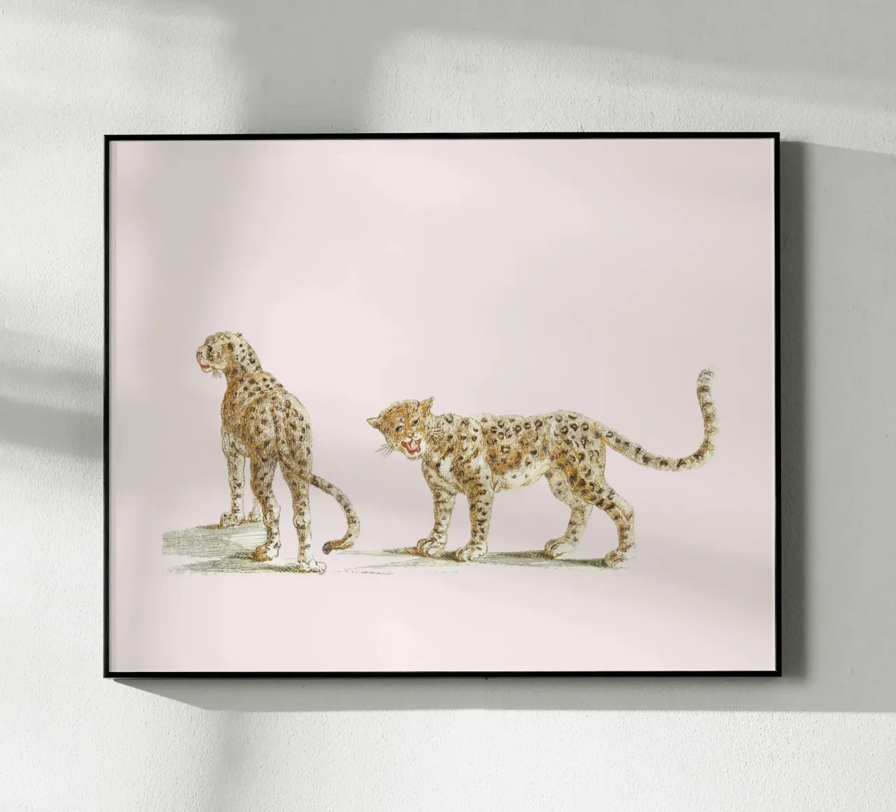 Two leopards plexiglass da Second Canvas