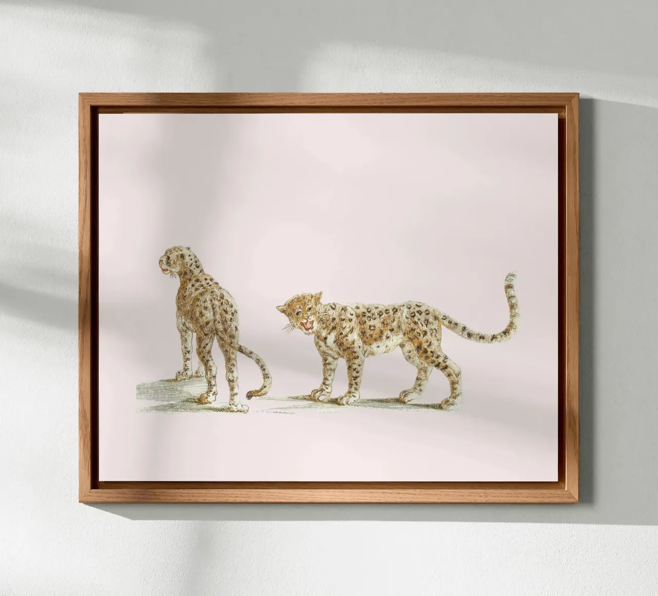 Two leopards pannello forex da Second Canvas