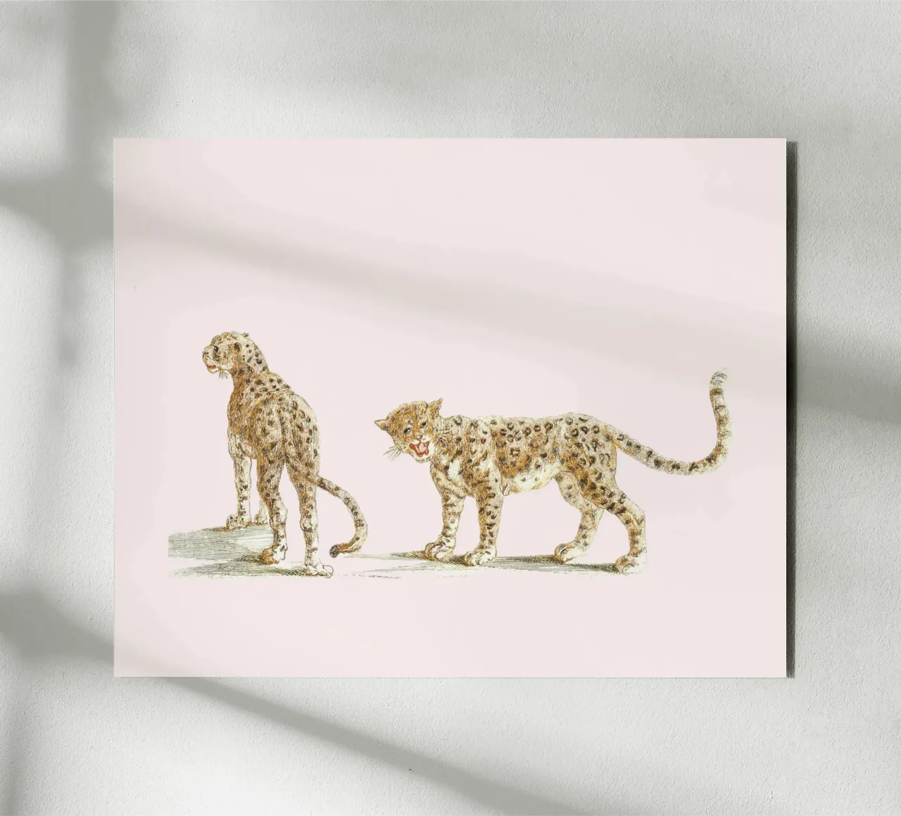Two leopards pannello forex da Second Canvas
