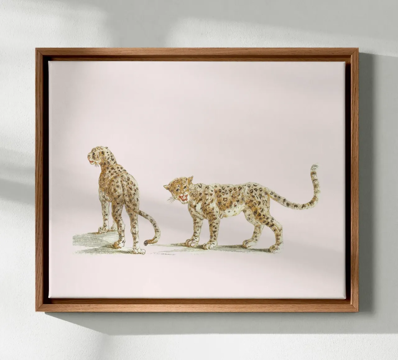 Two leopards canvas by Second Canvas