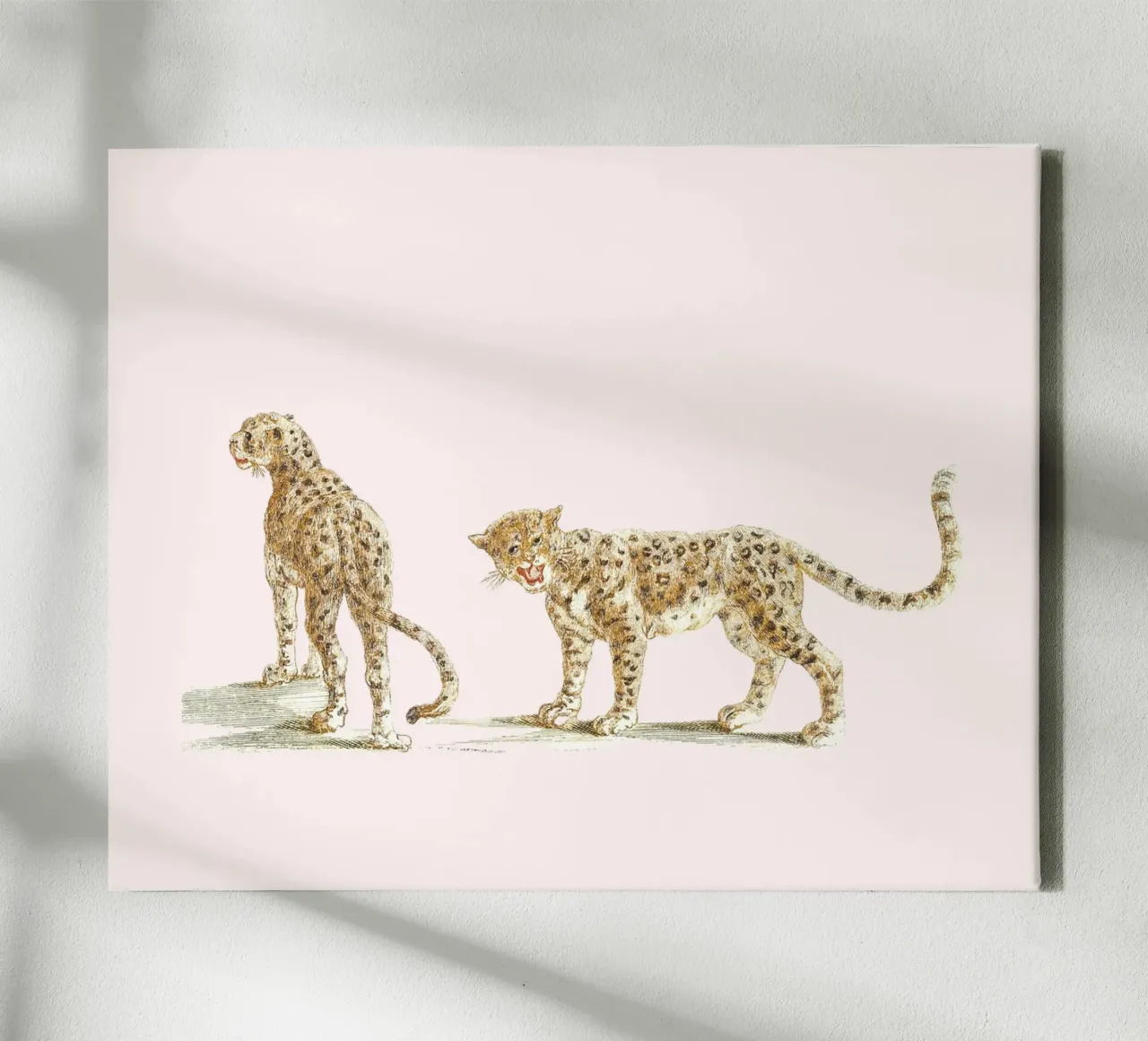 Two leopards canvas by Second Canvas