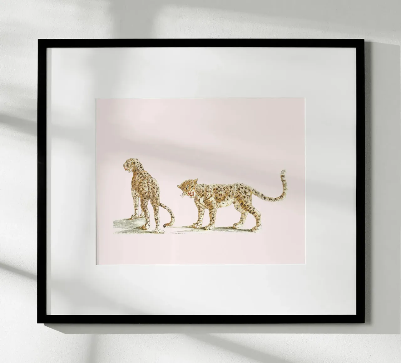Two leopards poster da Second Canvas