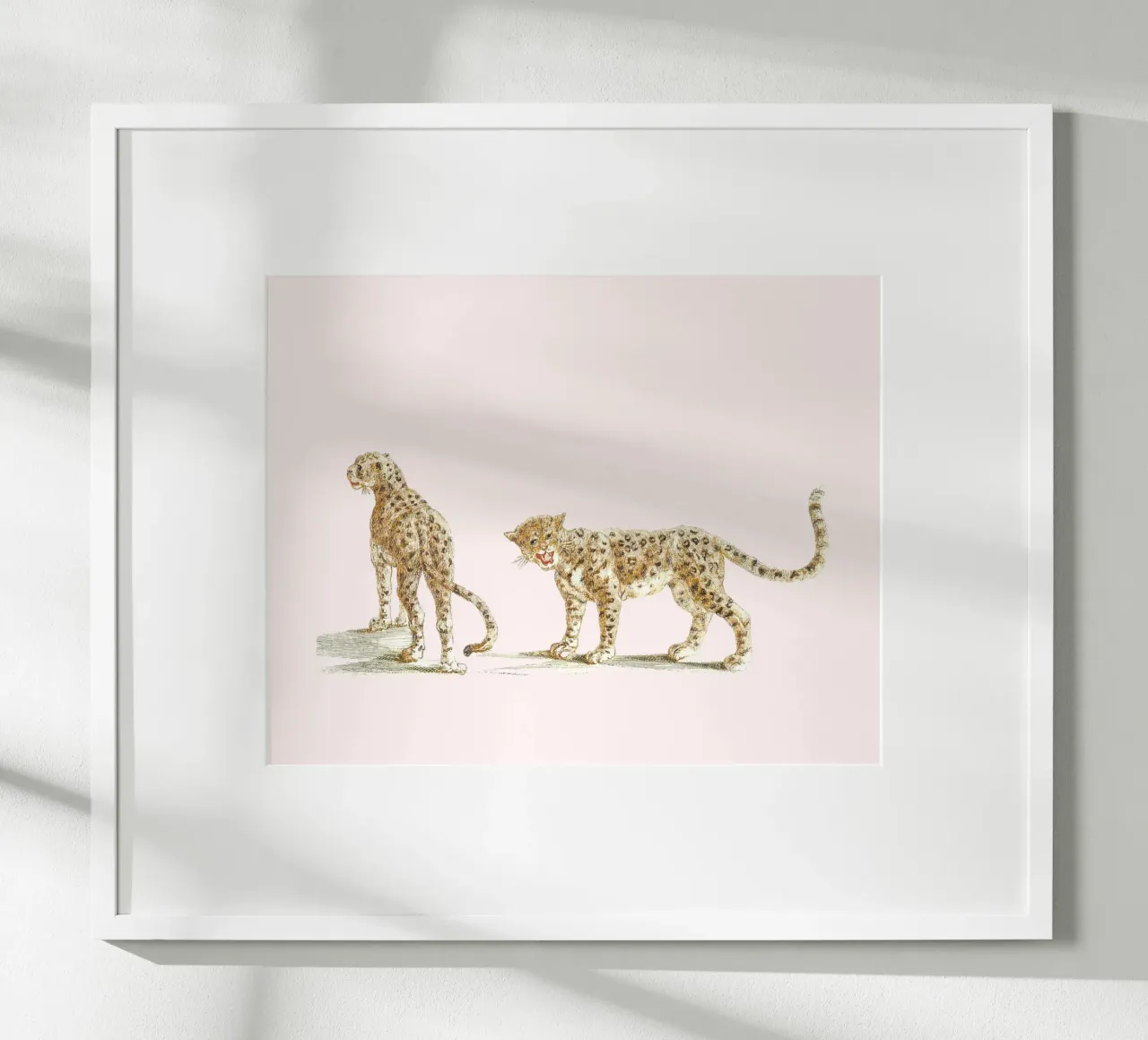 Two leopards poster da Second Canvas