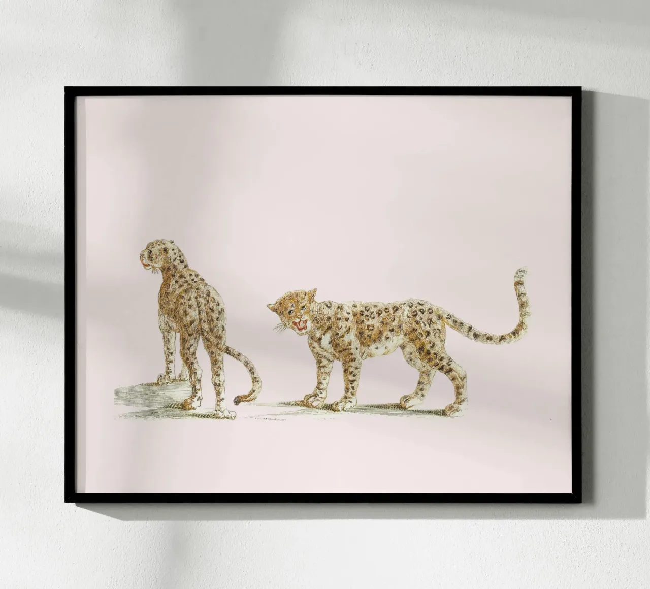 Two leopards poster da Second Canvas