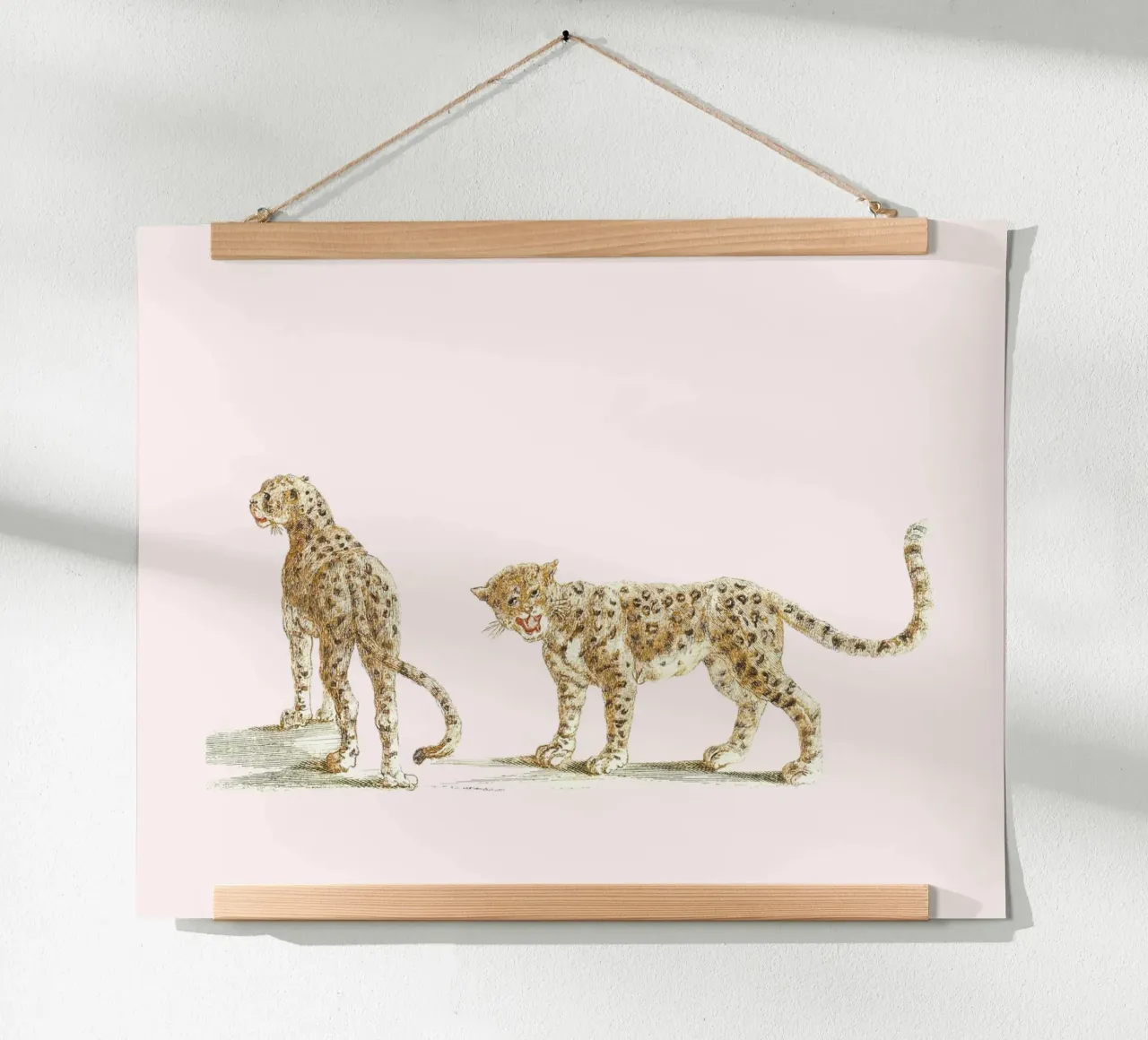 Two leopards poster da Second Canvas