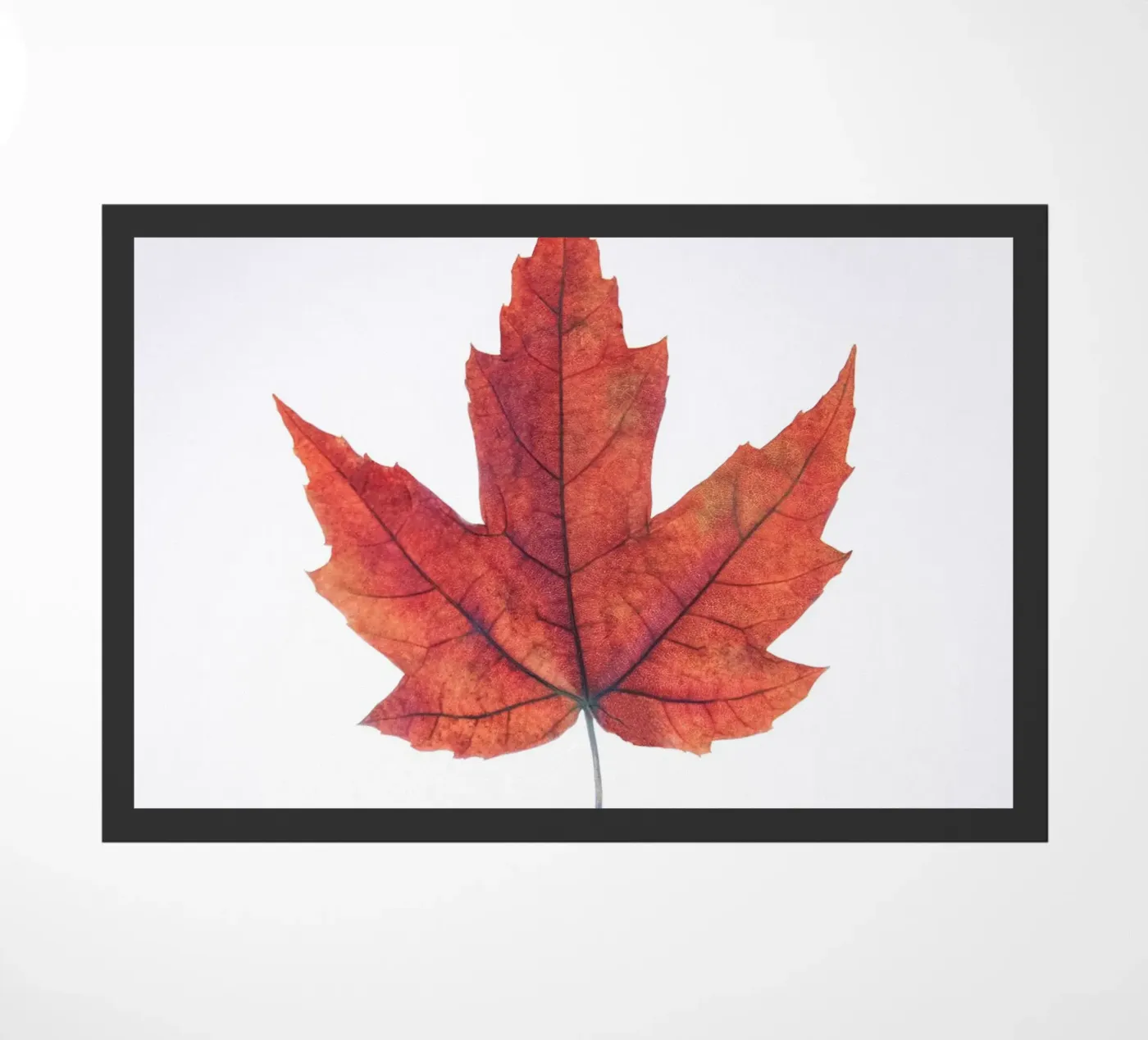 Oak leaf deurmat van Teresa André