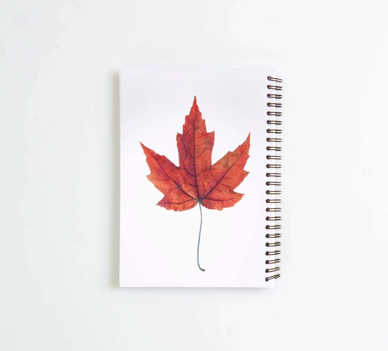 Oak leaf spiral notebook by Teresa André