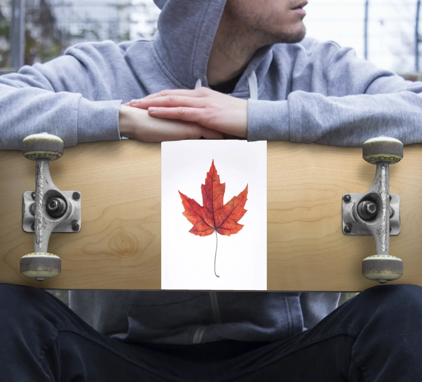 Oak leaf sticker by Teresa André