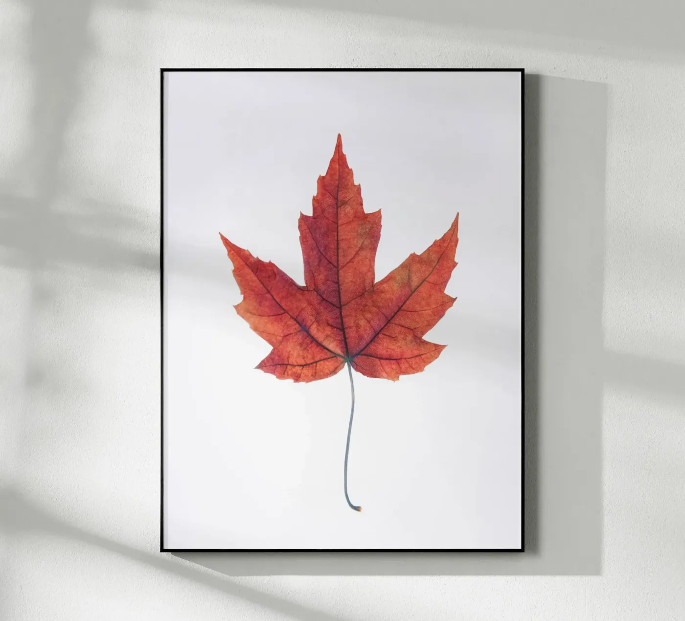 Oak leaf acrylic glass by Teresa André