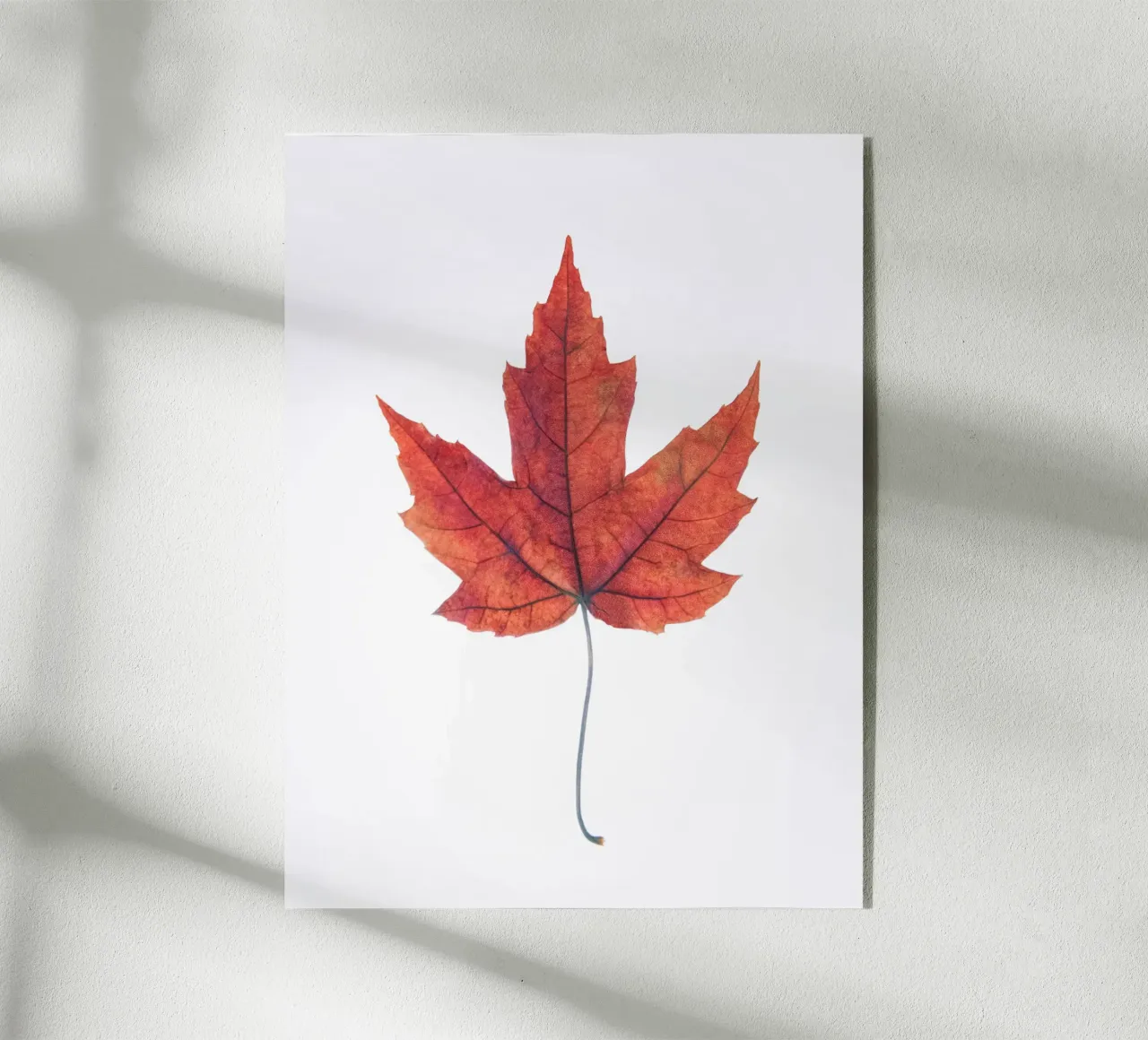 Oak leaf plexiglass da Teresa André