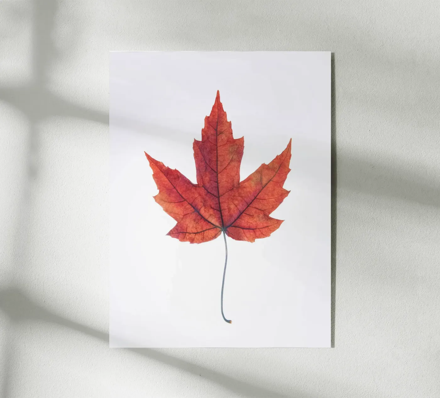 Oak leaf acrylic glass by Teresa André