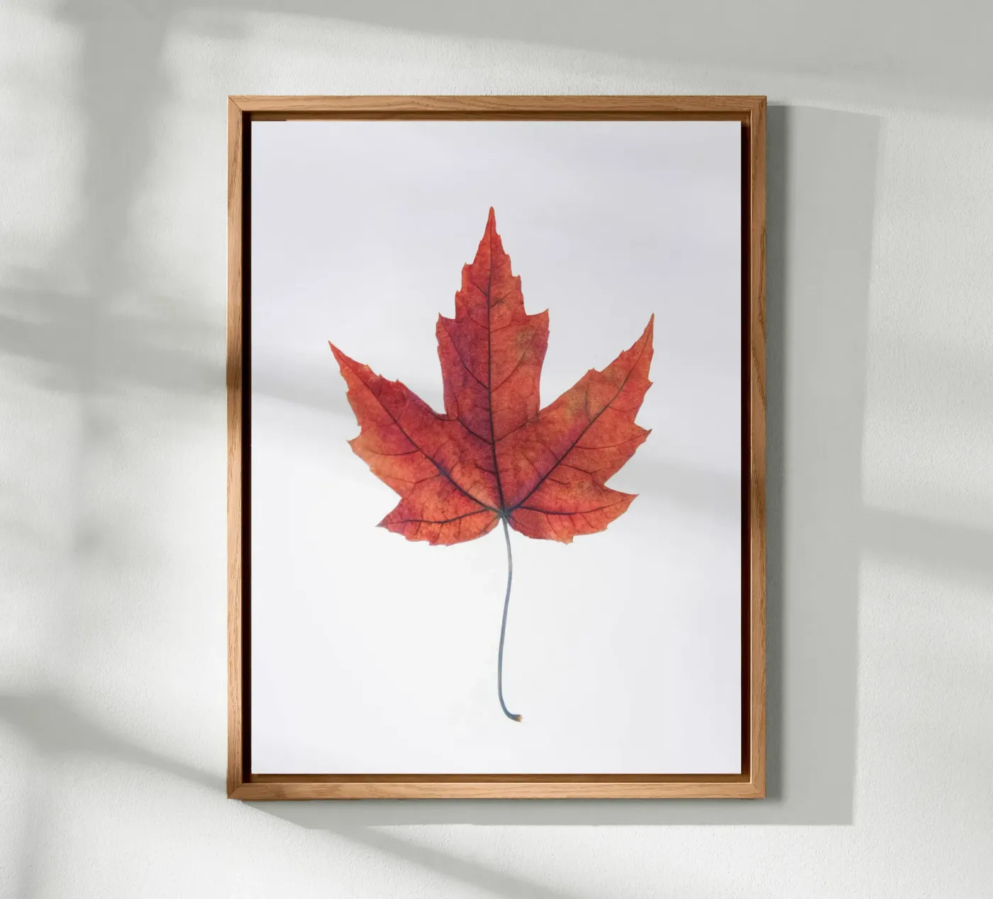 Oak leaf forex plate by Teresa André