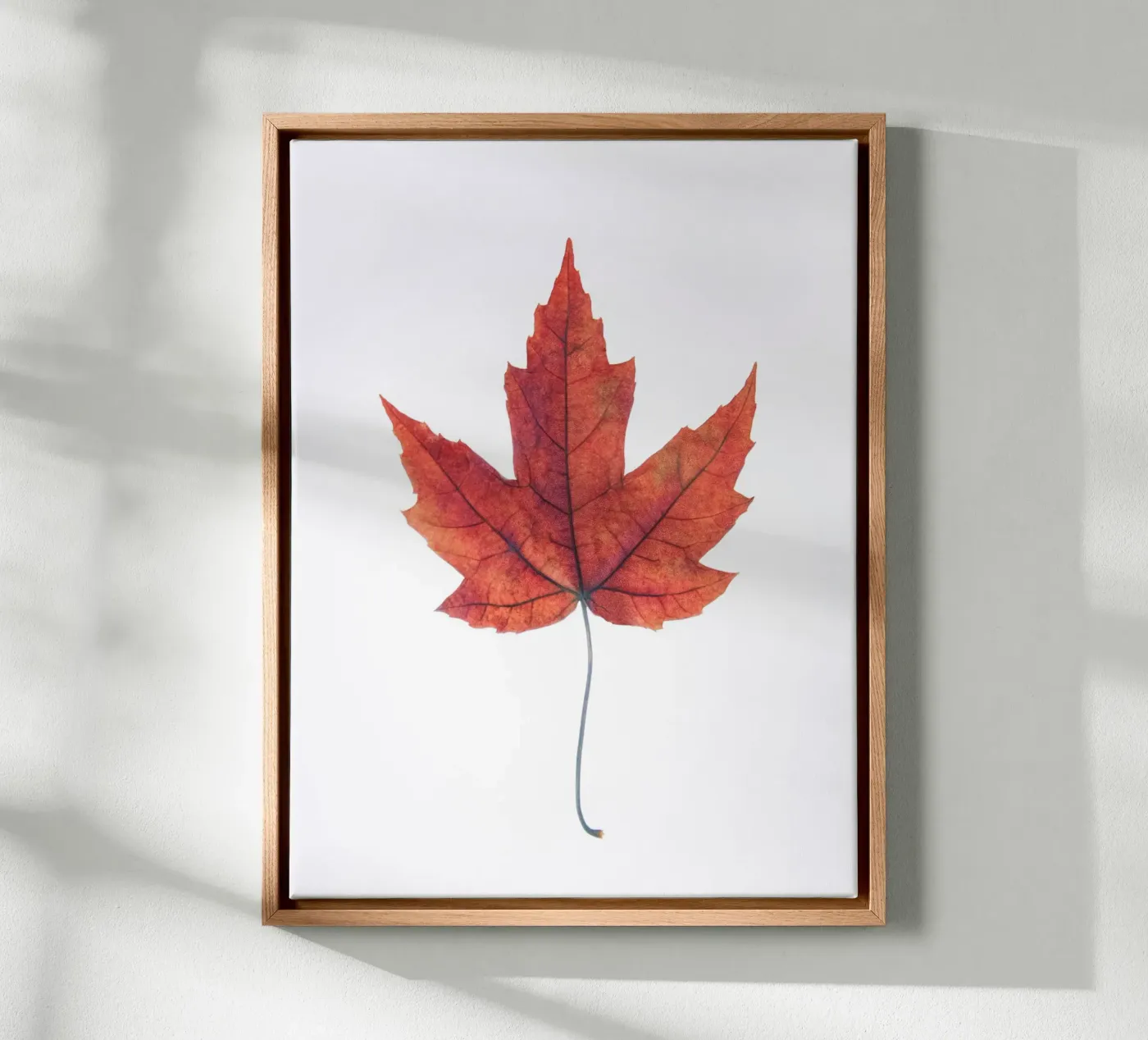Oak leaf canvas by Teresa André