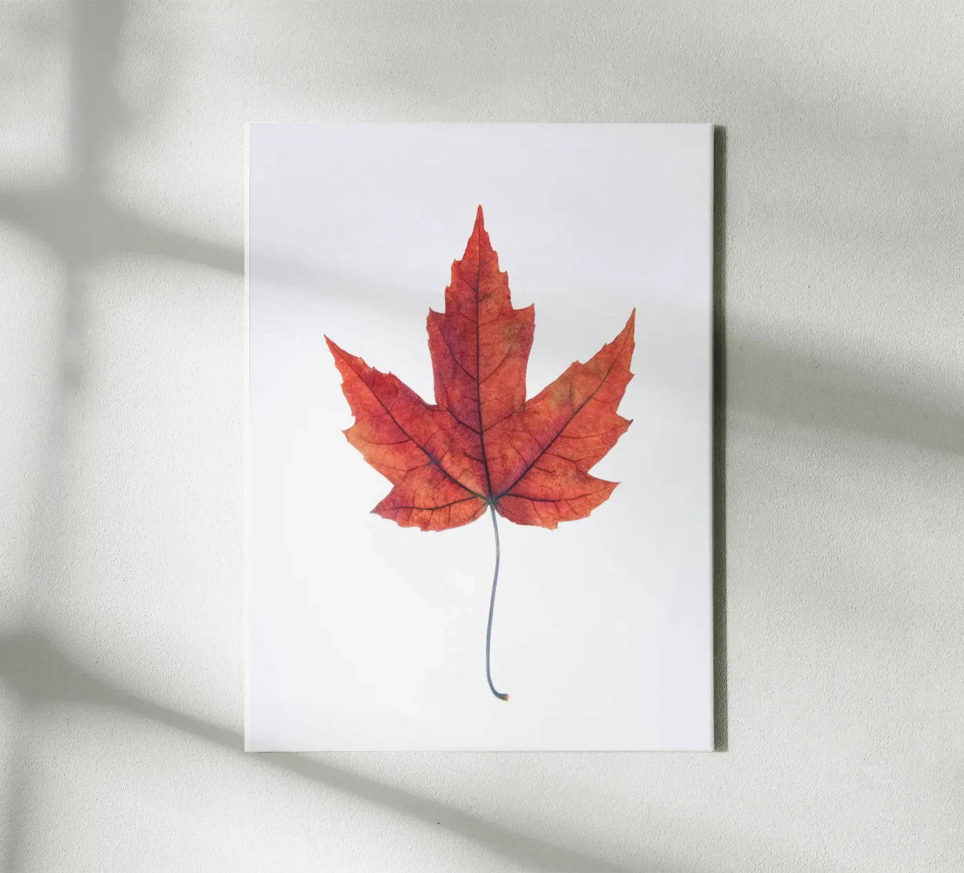 Oak leaf canvas by Teresa André