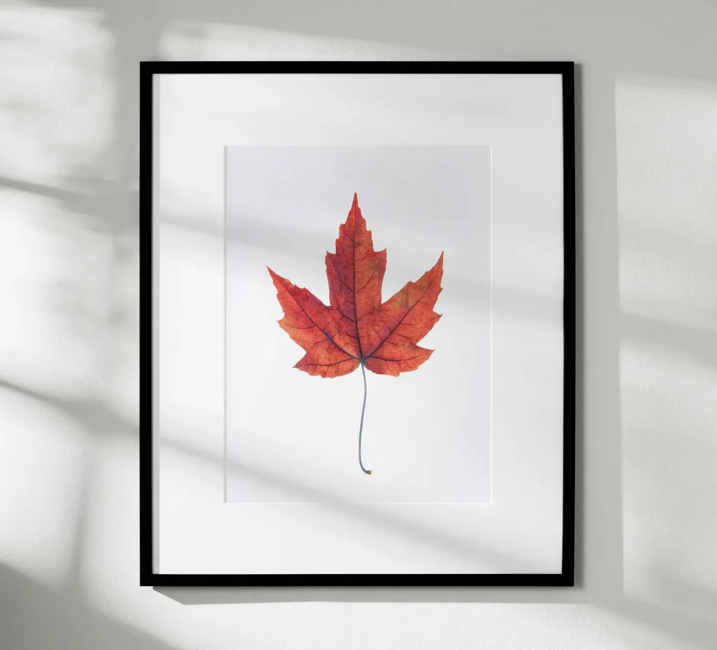 Oak leaf poster van Teresa André