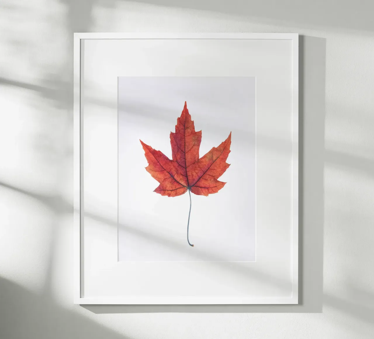 Eichenblatt Poster von Teresa André