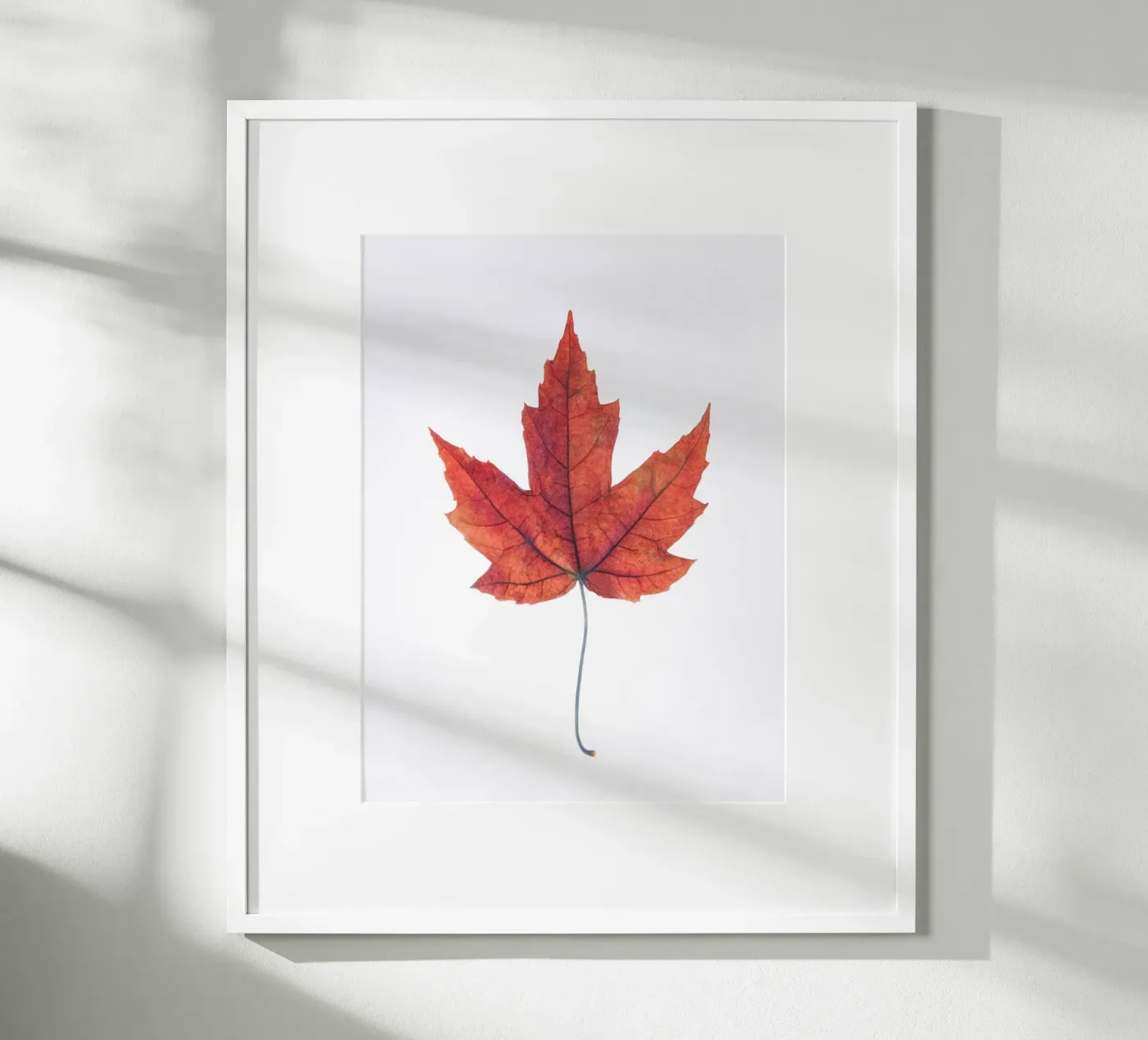 Oak leaf poster van Teresa André