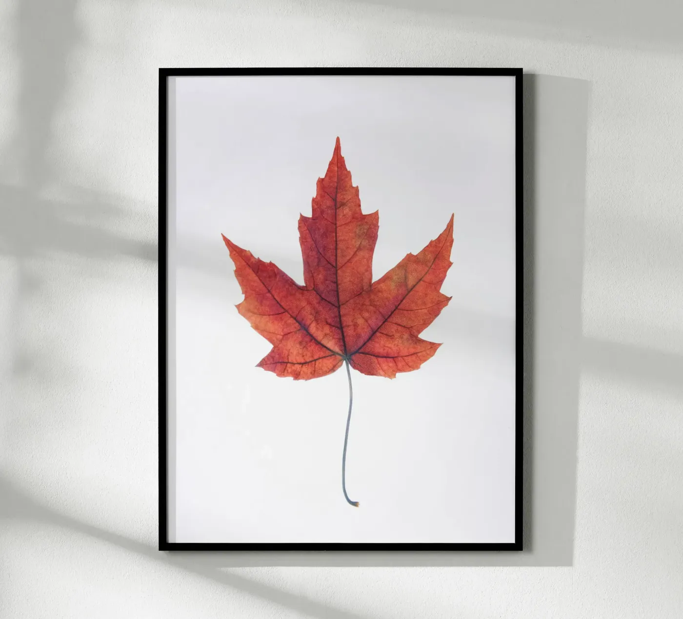 Oak leaf poster van Teresa André