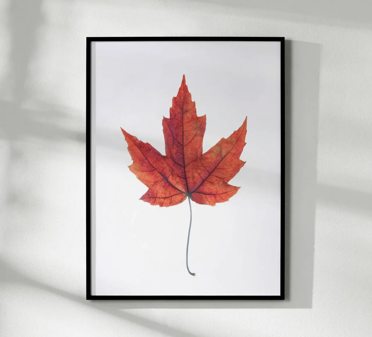 Eichenblatt Poster von Teresa André