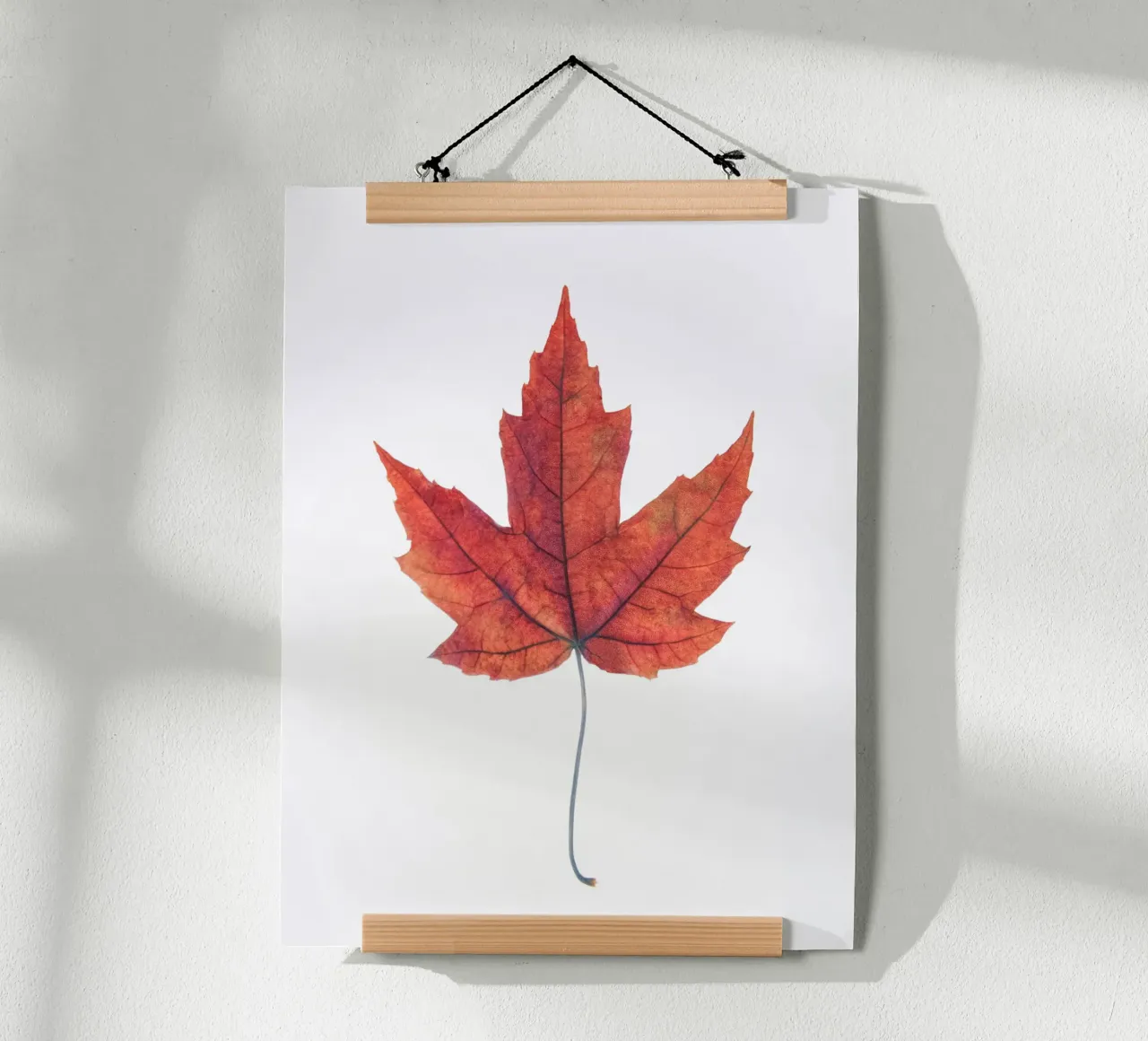 Foglia di quercia carta hahnemühle da Teresa André
